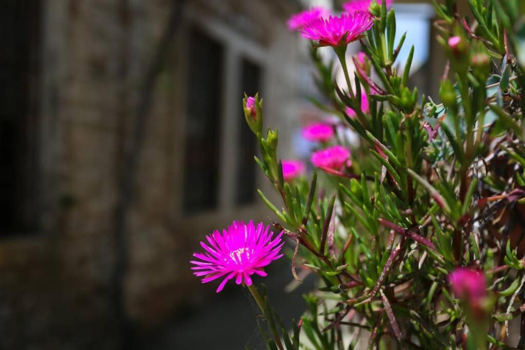 Charming Apartment In Town Center Pula Exterior photo