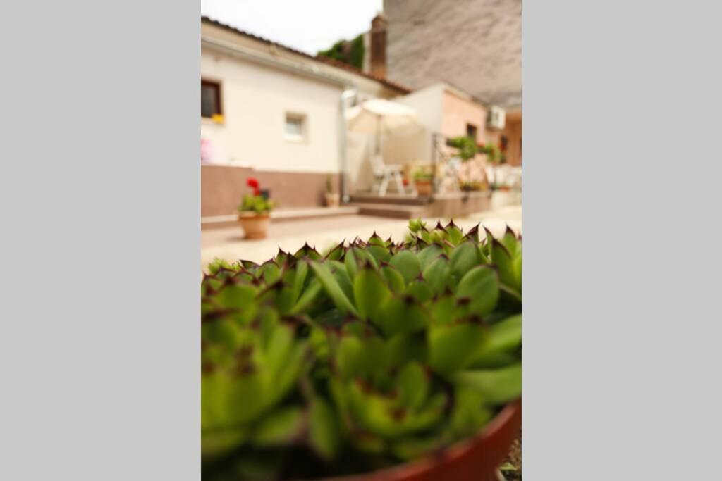 Charming Apartment In Town Center Pula Exterior photo